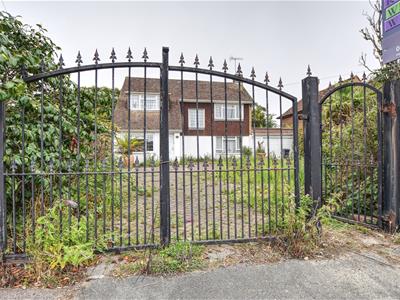 Picture 19